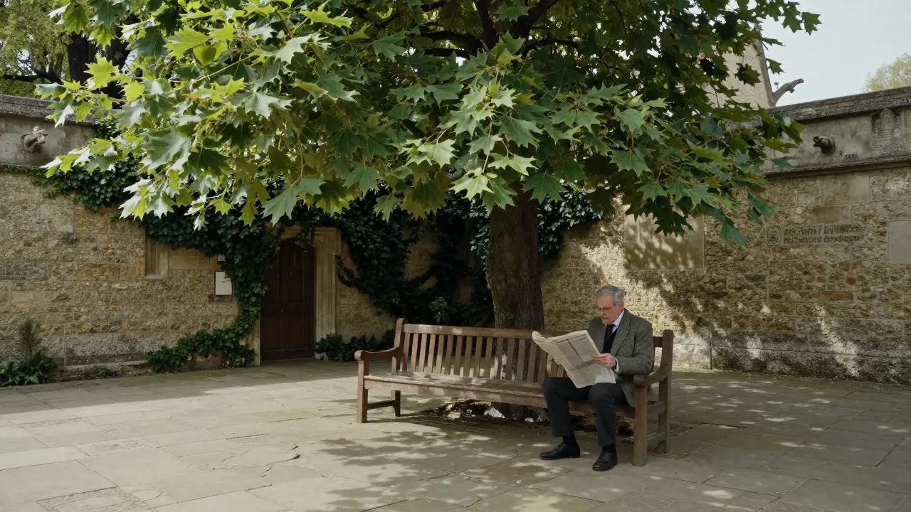 Discover the Hidden Gems: Secret Spots Around London You’ve Never Seen