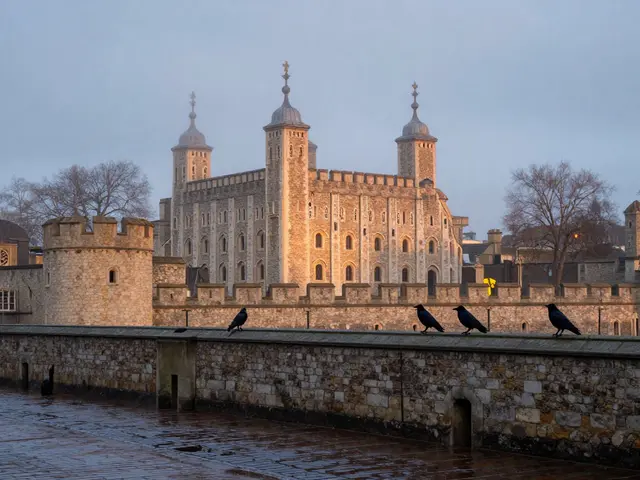 The Tower of London: A Haunting History of Power and Intrigue in the Heart of London